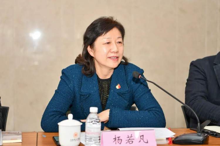 上海电机学院党委副书记杨若凡